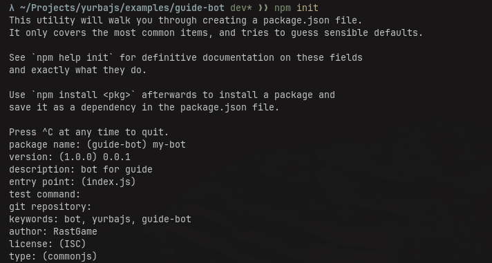 npm init process
